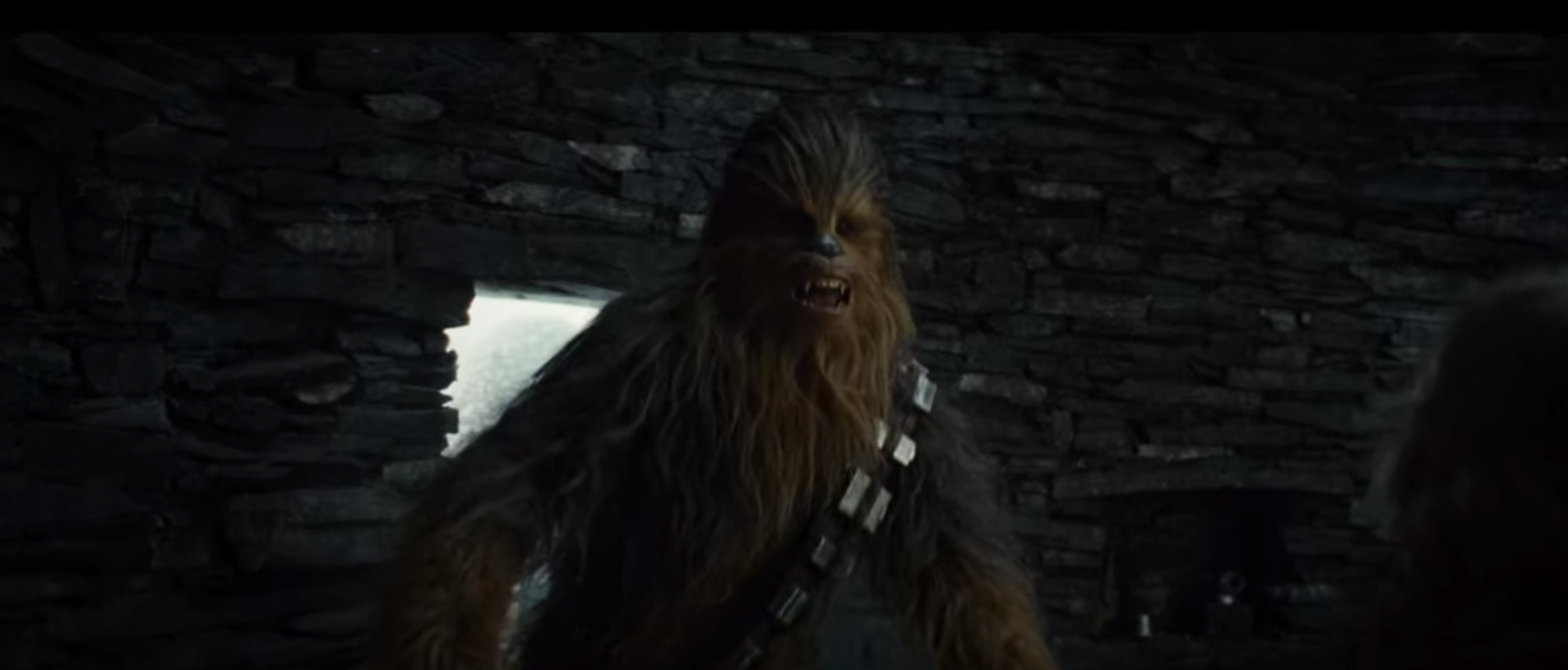 chewy_and_luke.png