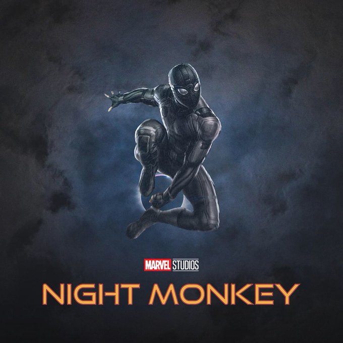 Image result for night monkey