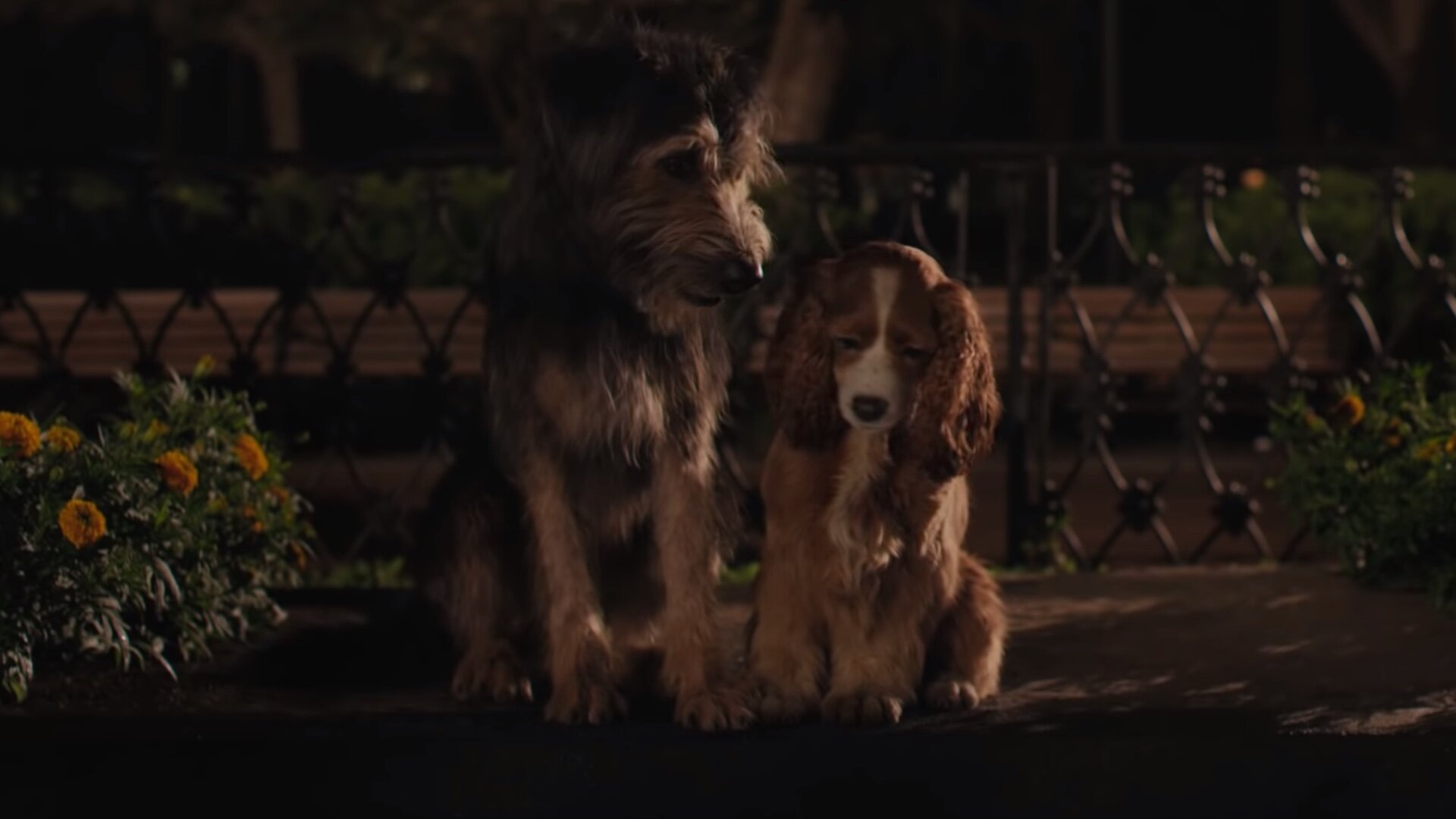 Lady and the Tramp' Stars Celebrate Disney+ Film With A Tail-Wagging Good  Time at Disneyland Park