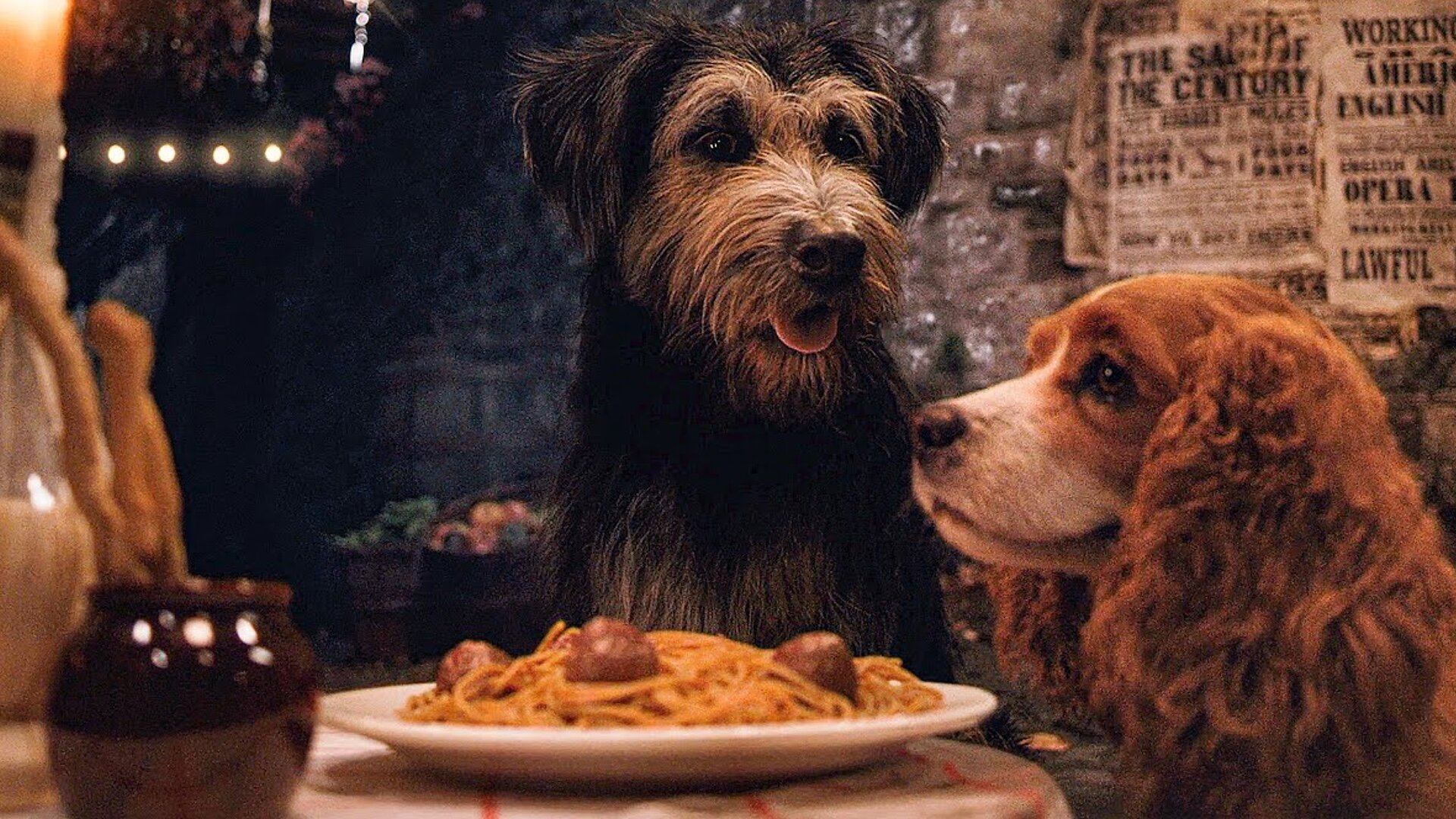 lady and the tramp time period