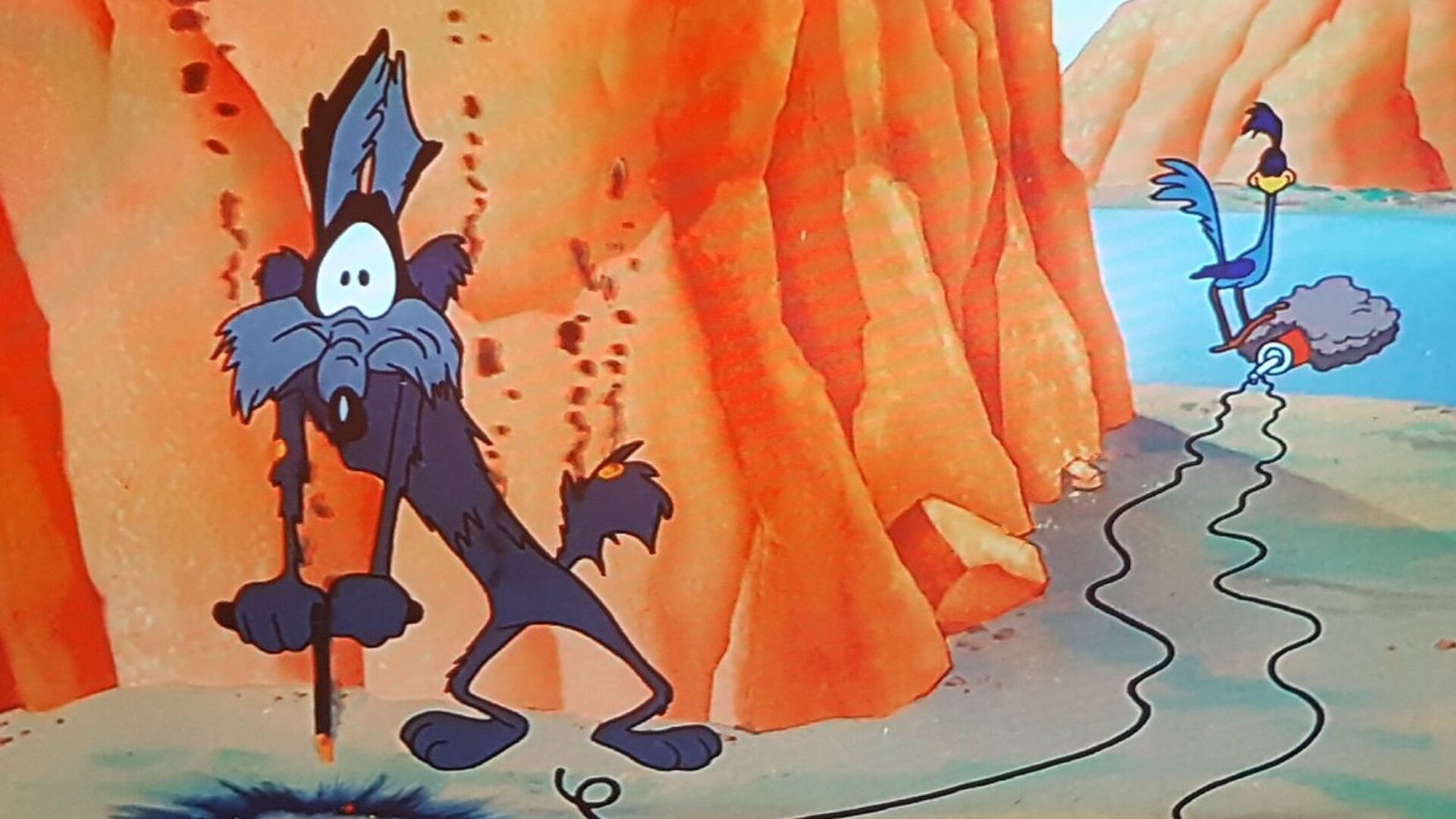 Acme's ill-functioning traps put Wile E in danger
