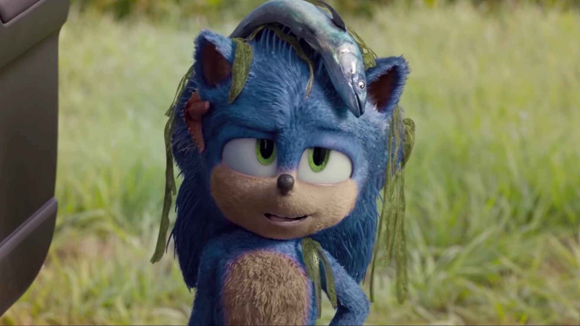  Sonic The Hedgehog : Jim Carrey, Jason Marsden, Tika