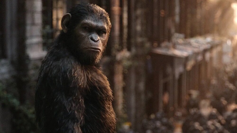 disneys-upcoming-planet-of-the-apes-film-will-reboot-the-franchise-social.jpg