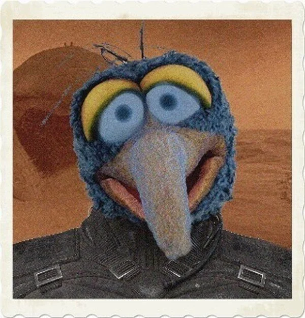 dune2.jpg