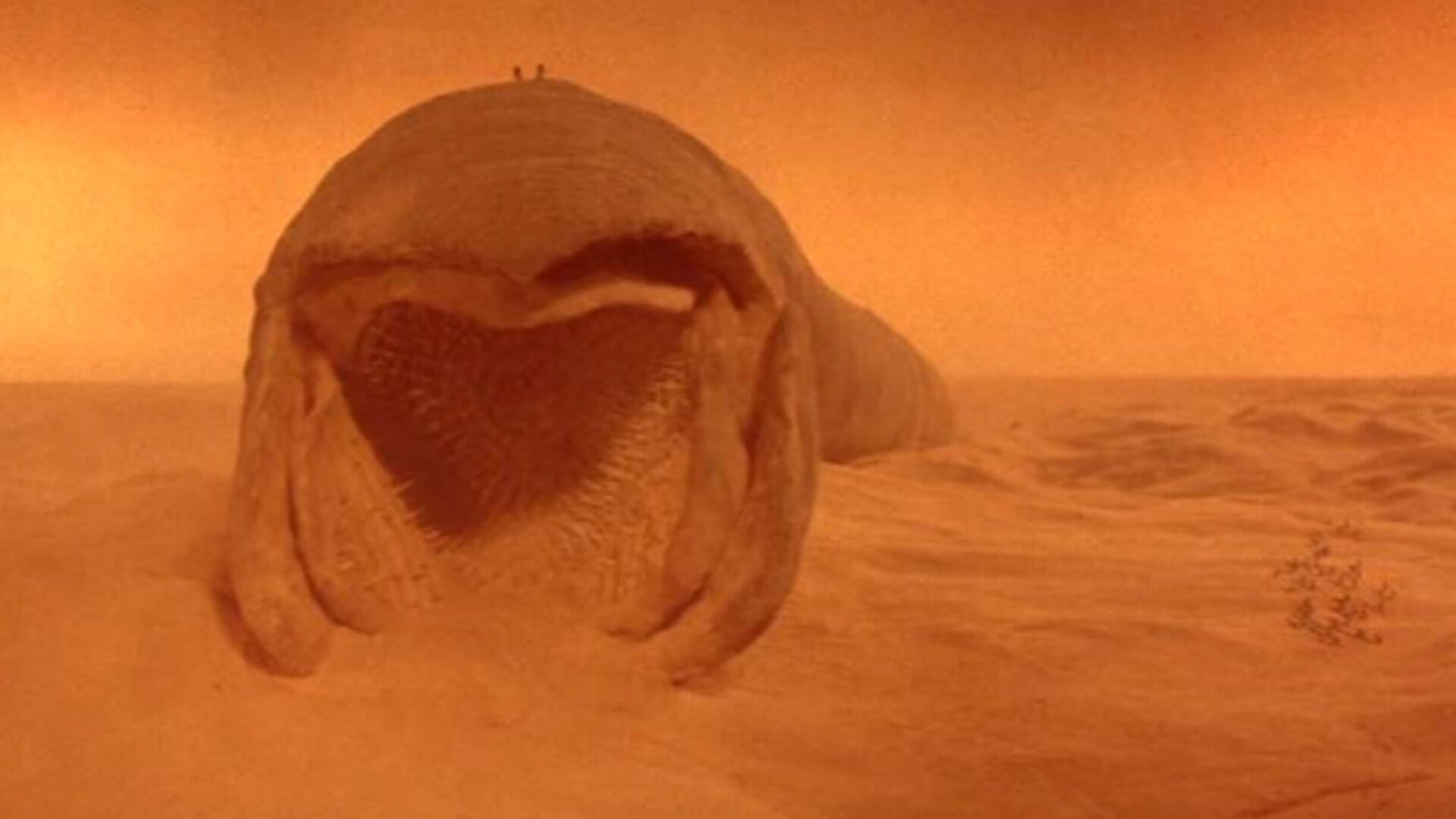 Denis Villeneuve Explains That He Spent an Entire Year Perfecting the  Sandworm Design in DUNE — GeekTyrant