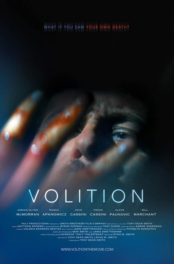 VolitionPostermainoriginalteaser5991.jpg