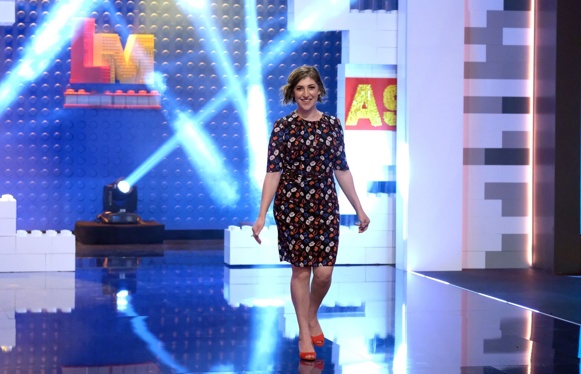 CELEBRITY SHOW-OFF Will Show Celebrities Showcasing Talents to Get