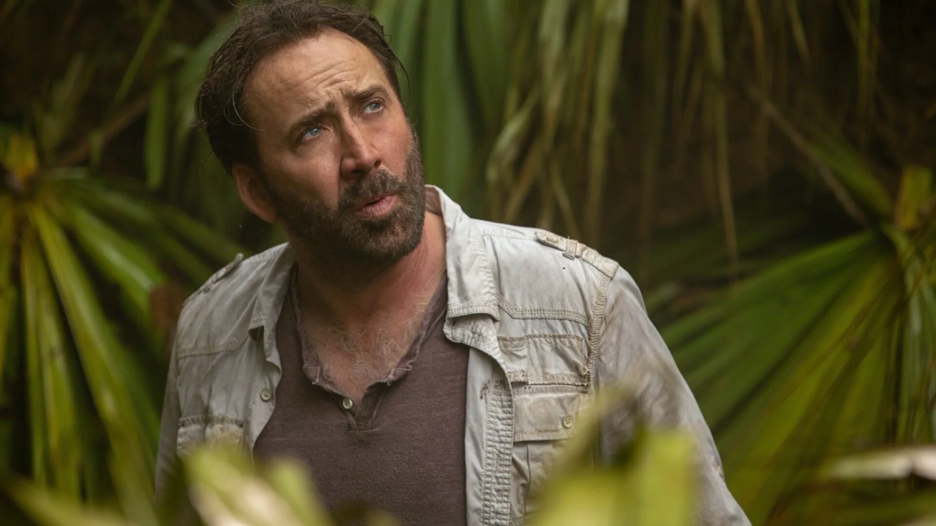 Nicholas Cage's Joe Exotic Series Lands at Amazon — GeekTyrant