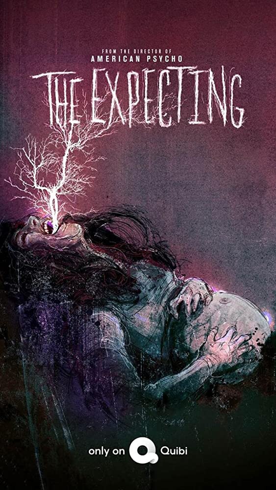 the expecting poster.jpg