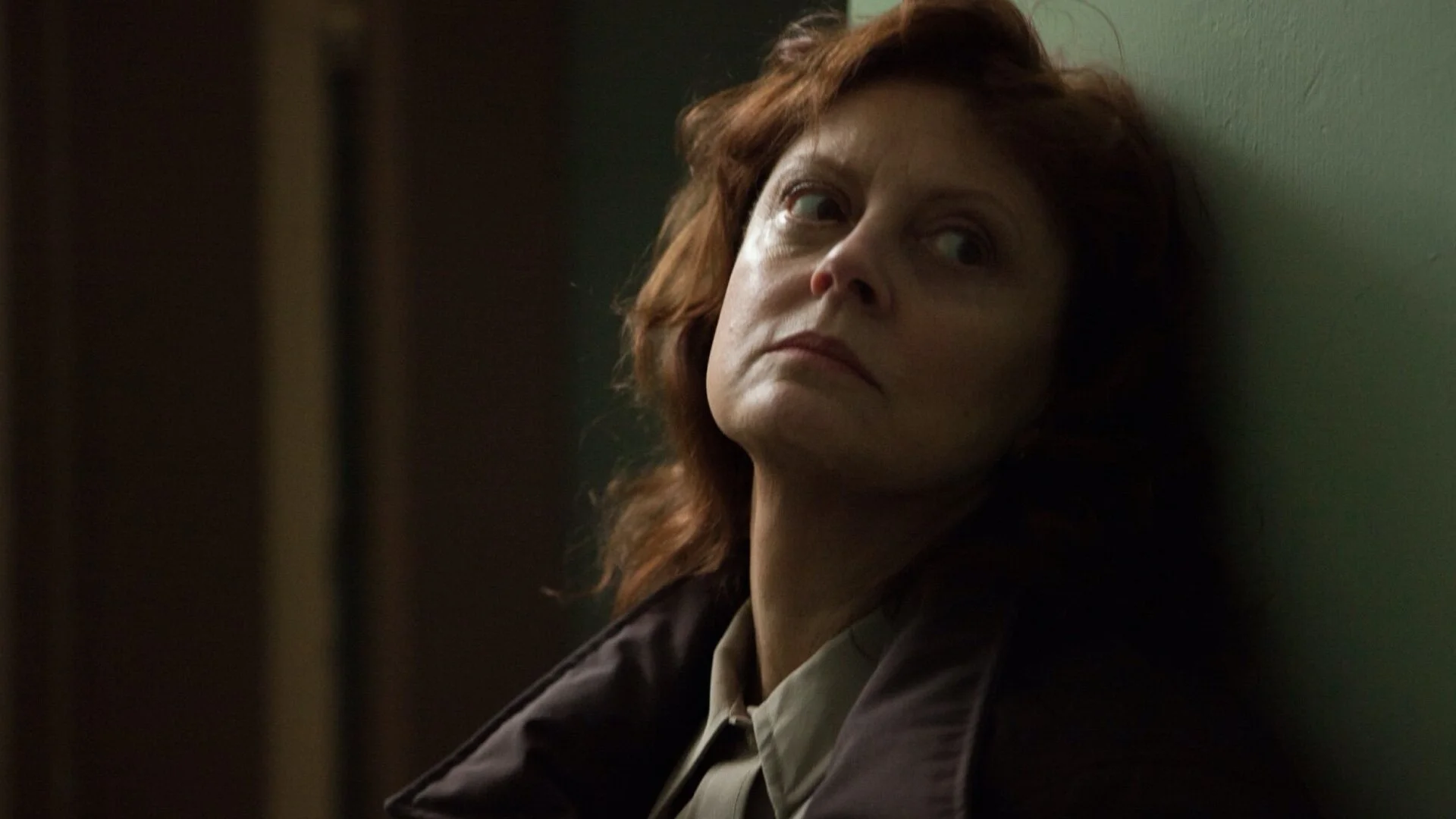 susan-sarandon-will-lead-the-cast-of-hbo-maxs-psychological-thriller-red-bird-lane-social.jpg