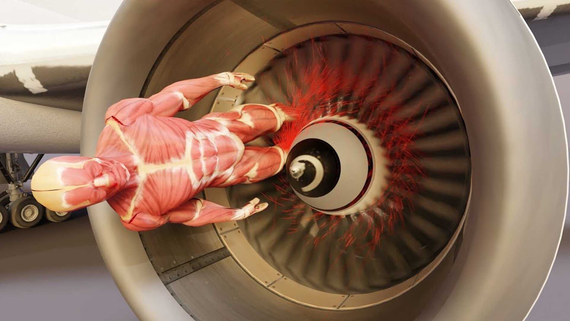 Animated Video Shows What Happens To a Human Body if Sucked Into an  Airplane Engine — GeekTyrant