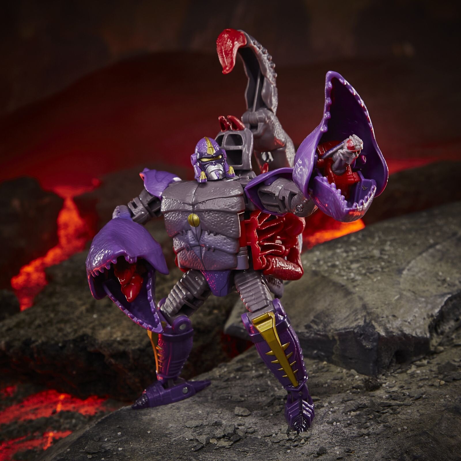 F0677_DIO_TRA_GEN_WFC_K_DELUXE_Scorponok_10_Online_2000SQ.jpg