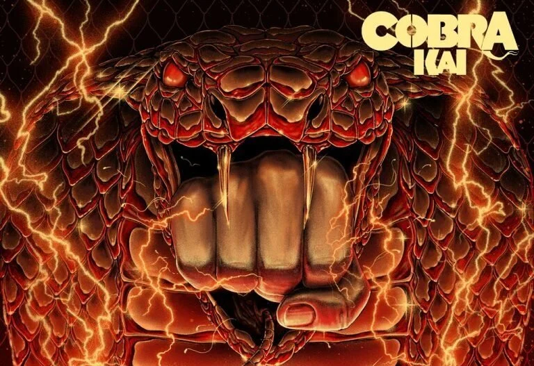 cobra kai record 1.jpeg