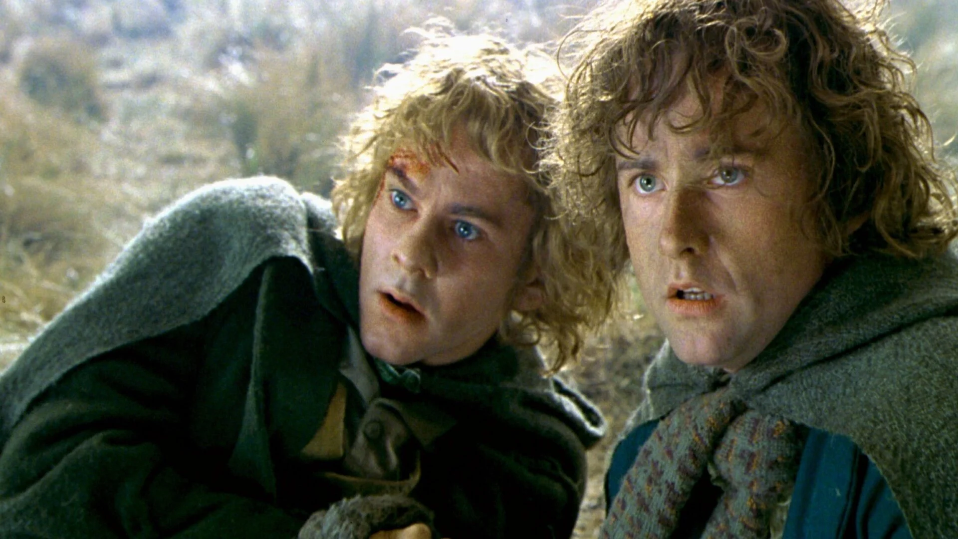 the-lord-of-the-rings-studio-originally-wanted-to-kill-off-one-of-the-hobbits.jpg