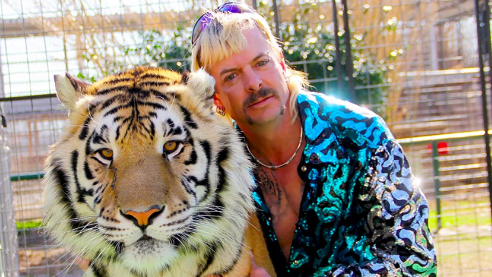 tiger-king-2-is-coming-in-a-new-line-up-of-netflix-true-crime-documentaries.jpg