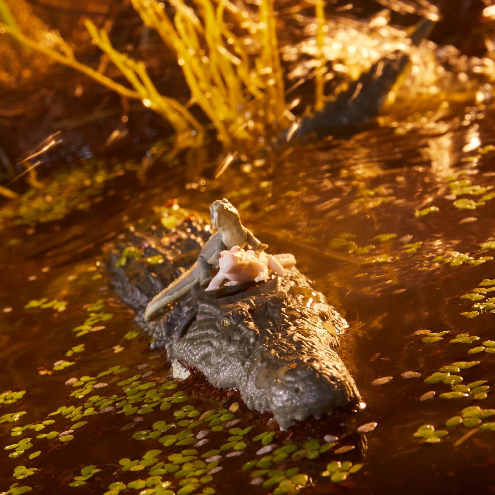 gijoe-cs-croc-master-07.jpeg
