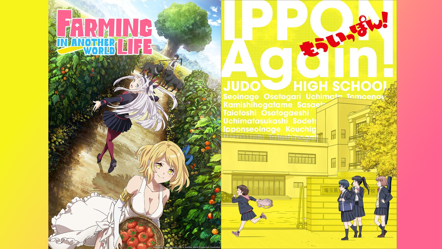 Hidive Promo Code 2024 Reddit Free Manda Rozanne Hidive Promo Code 2024 Reddit Free Manda Rozanne