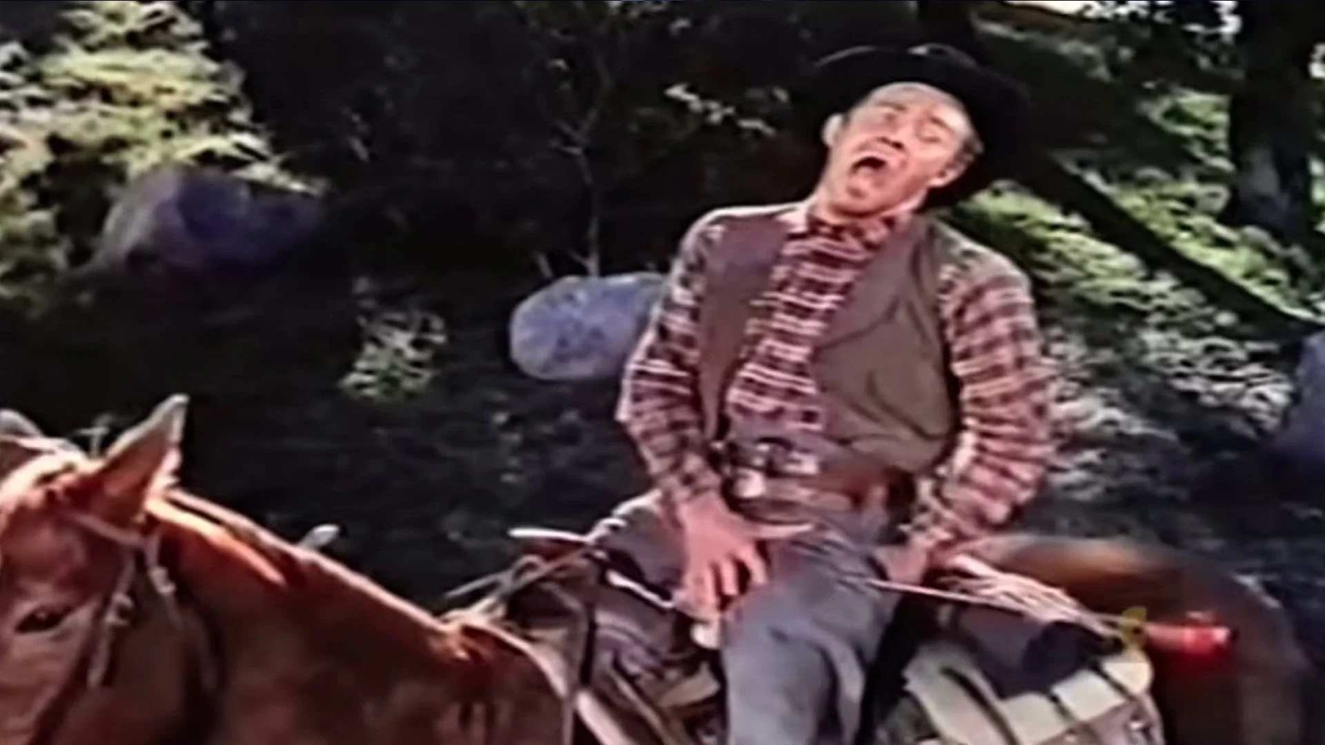 The story behind the iconic “Wilhelm Scream” effect explored in video