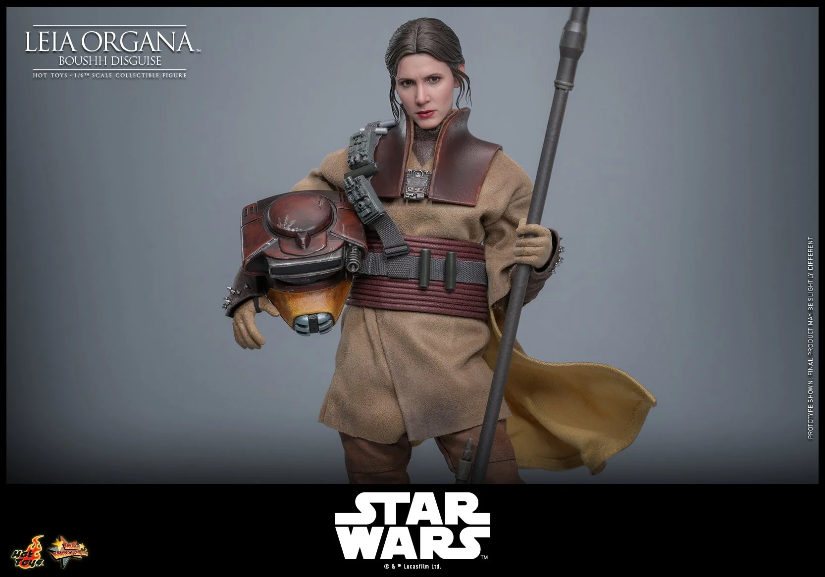 Hot-Toys-Leia-Boushh-010 (1).jpg