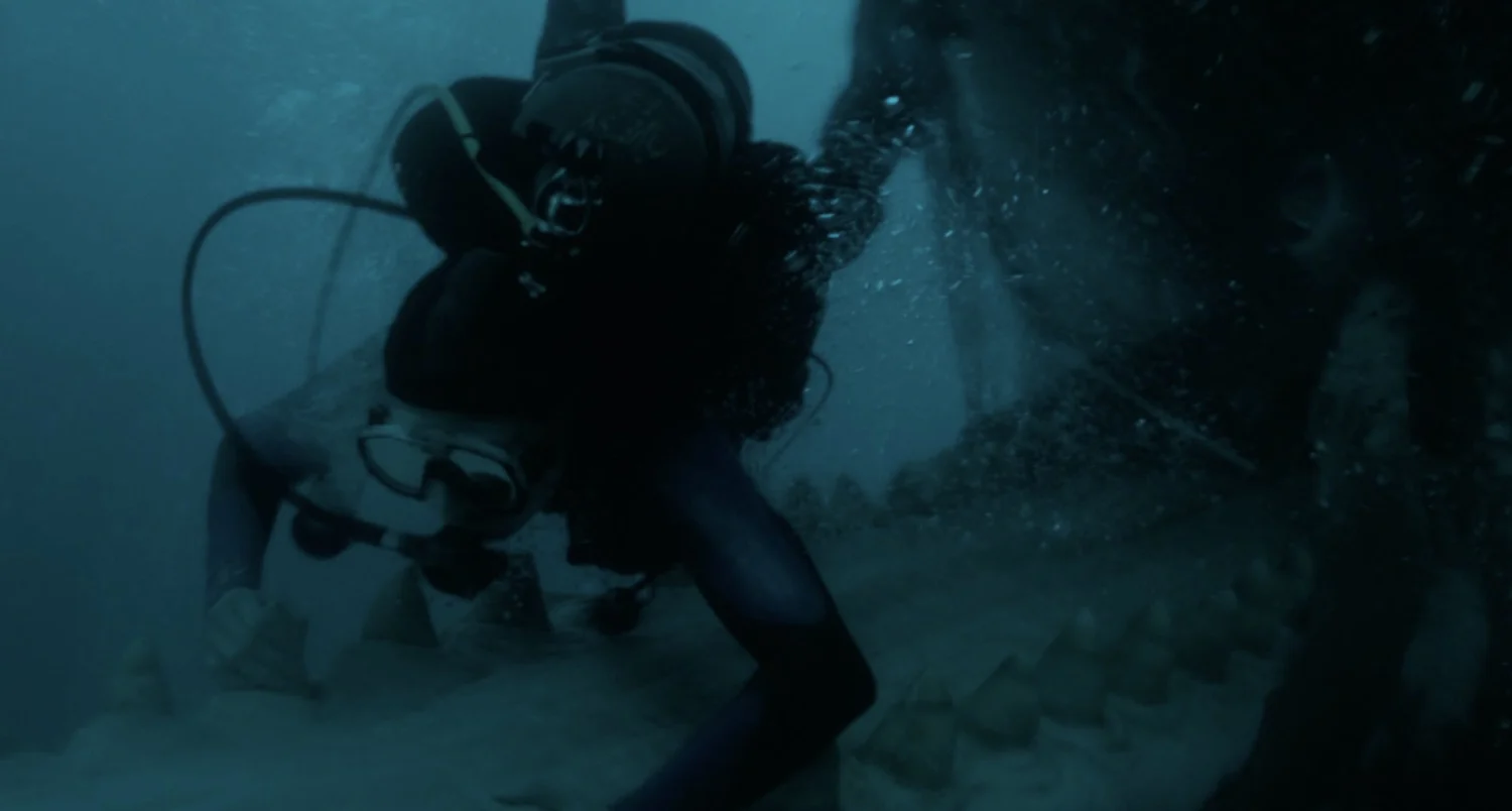 A Man Gets Swallowed by a Whale in the Awesome, Thrilling Trailer for WHALEFALL