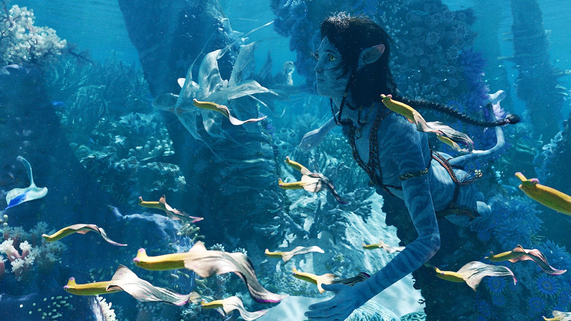 The Insane Film Technology Behind 'Avatar: The Way of Water