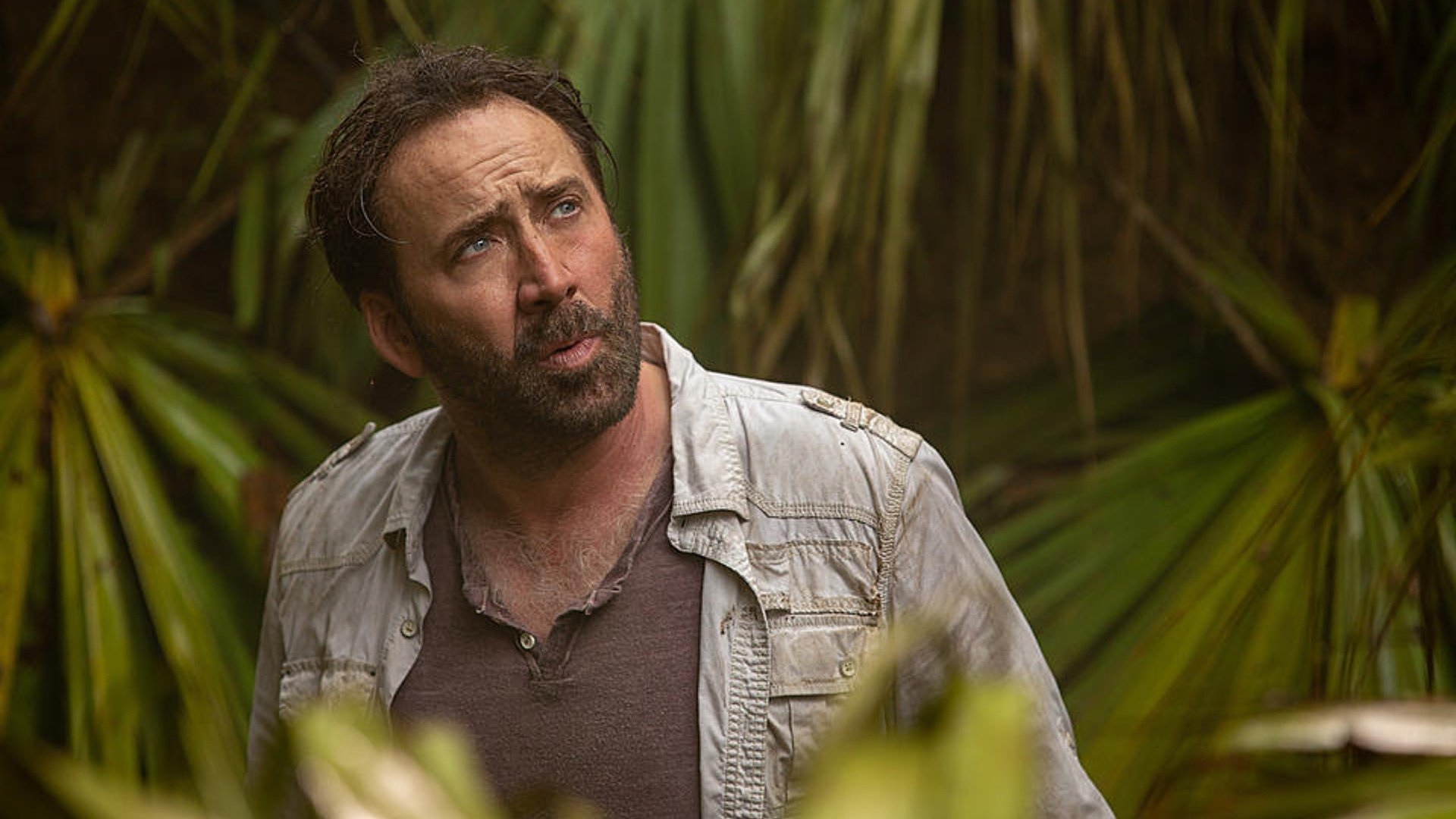 Nicolas Cage and Jaeden Martell to lead the cast of action thriller Survival SAND AND STONES Nicolas Cage and Jaeden Martell to lead the cast of action thriller Survival SAND AND STONES
