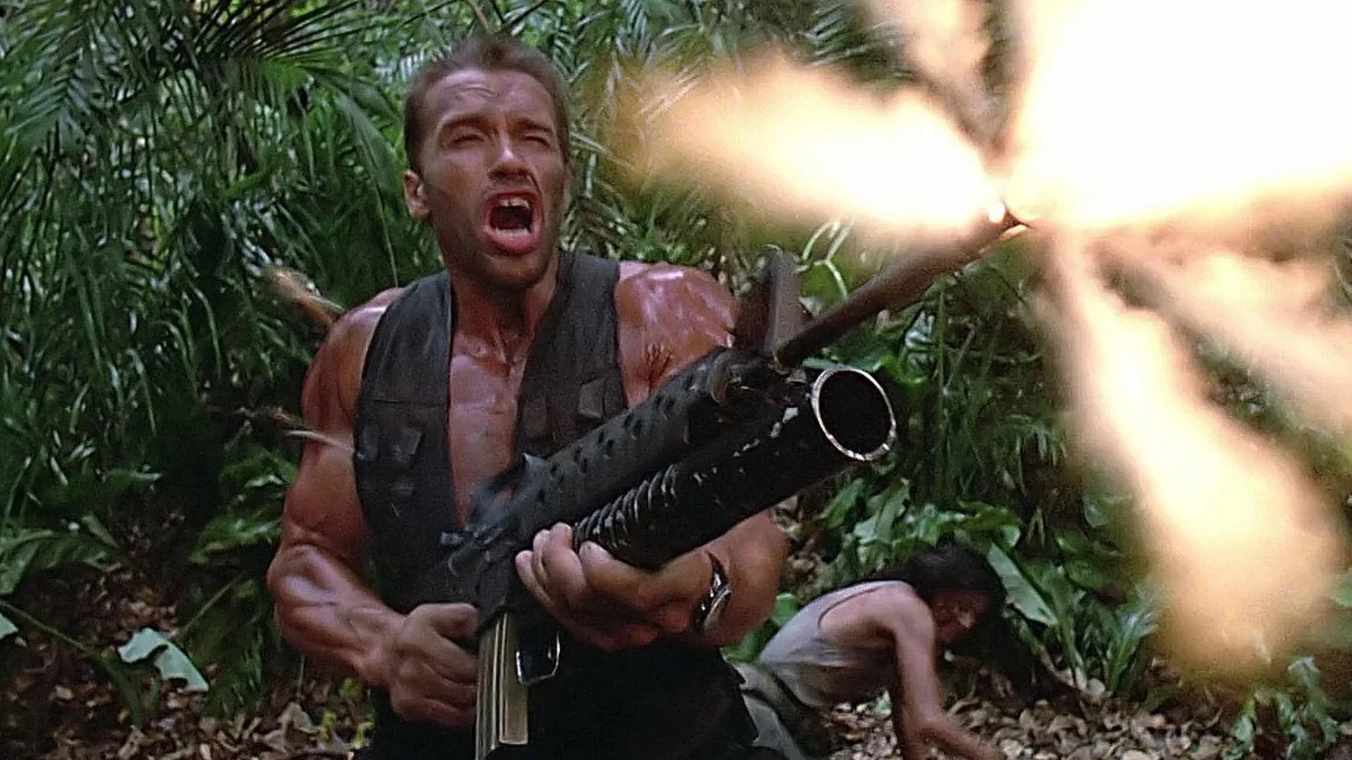 Arnold Schwarzenegger discussed a real predatory return with Predator: Killer of Killers Director