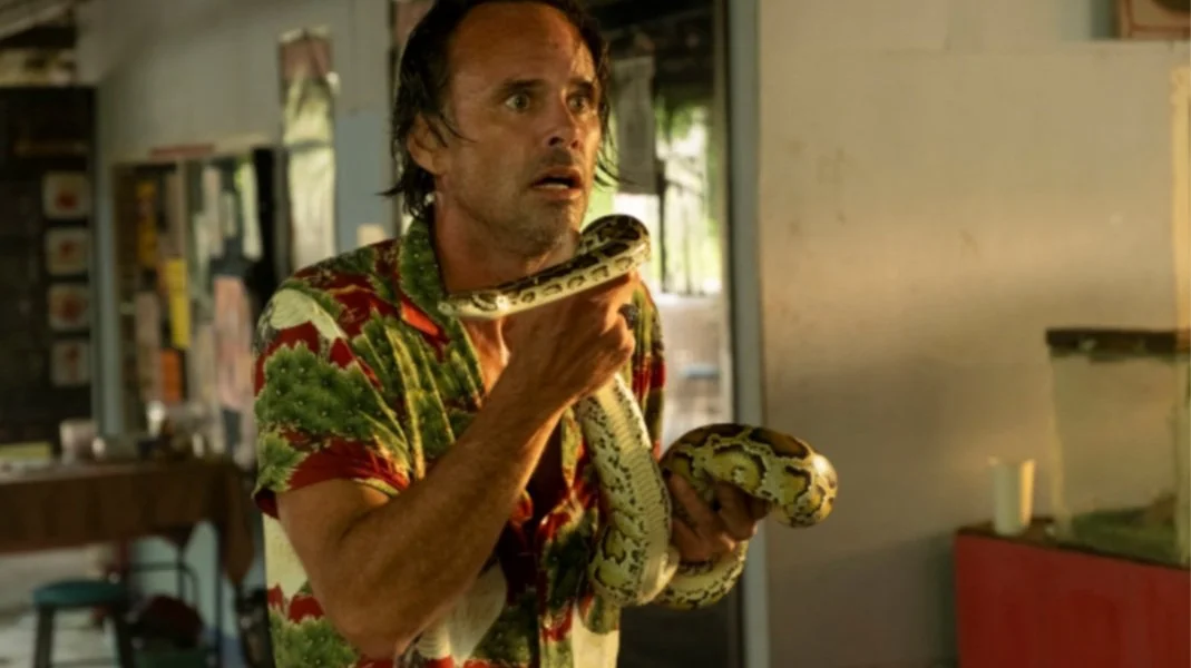 Walton Goggins shares the story of being bitten by a snake while turning the season 3 of White Lotus Walton Goggins shares the story of being bitten by a snake while turning the season 3 of White Lotus