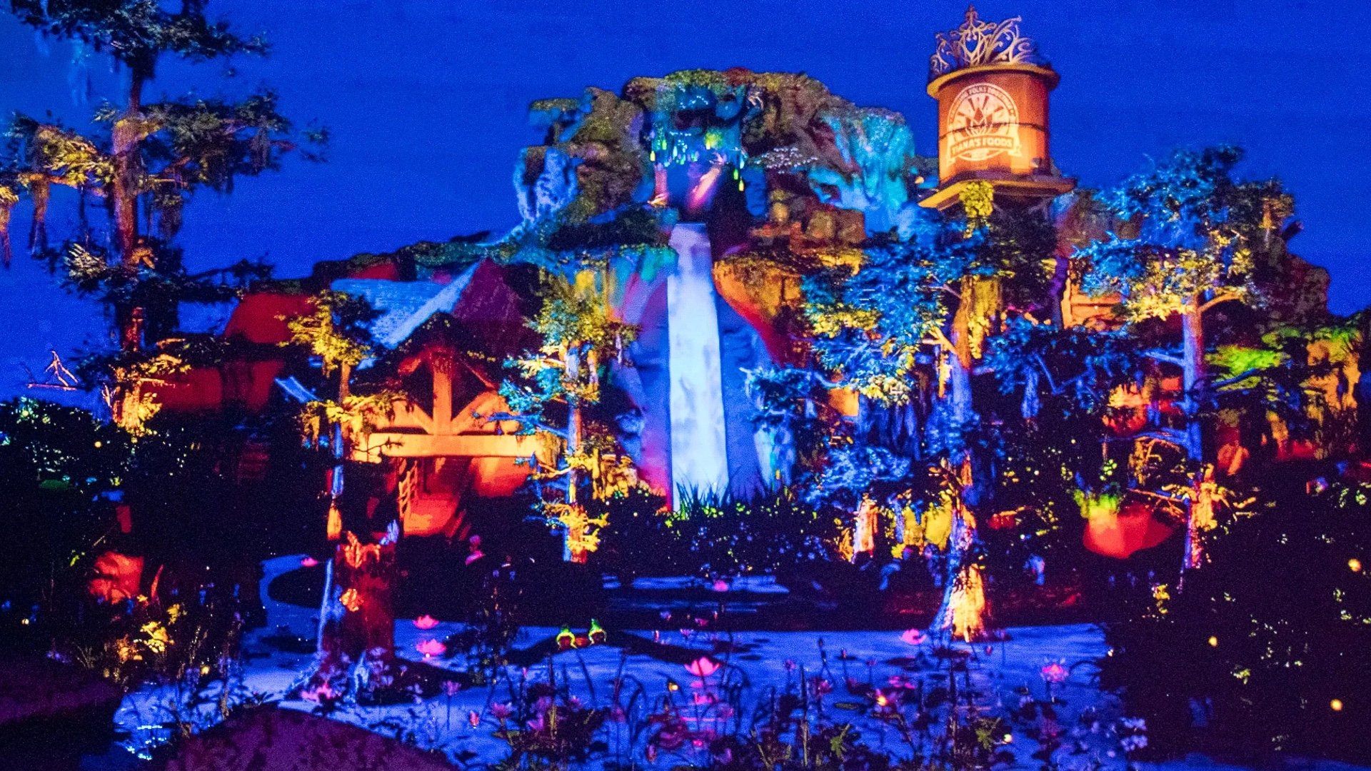 New details from Disneyland