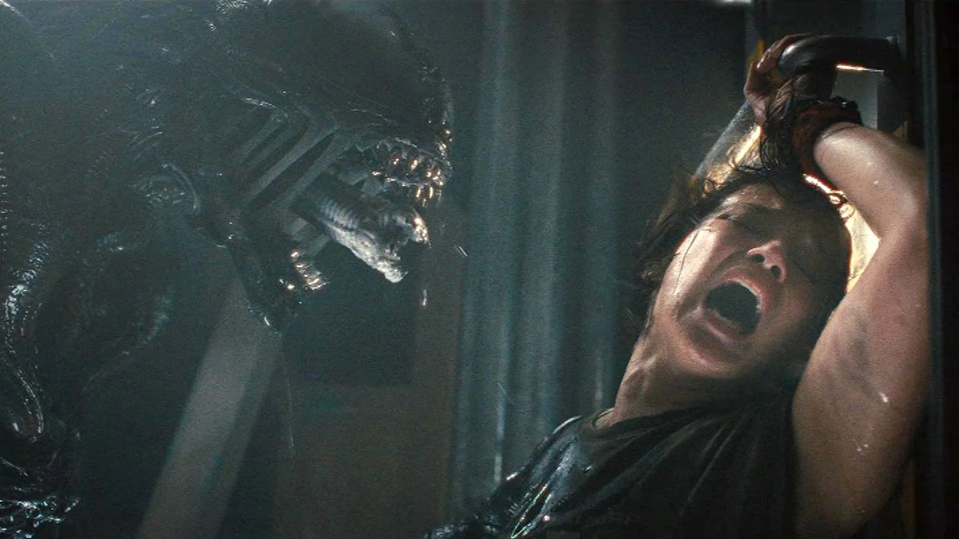 My Top 10 Favorite Films Of 2024 Geektyrant