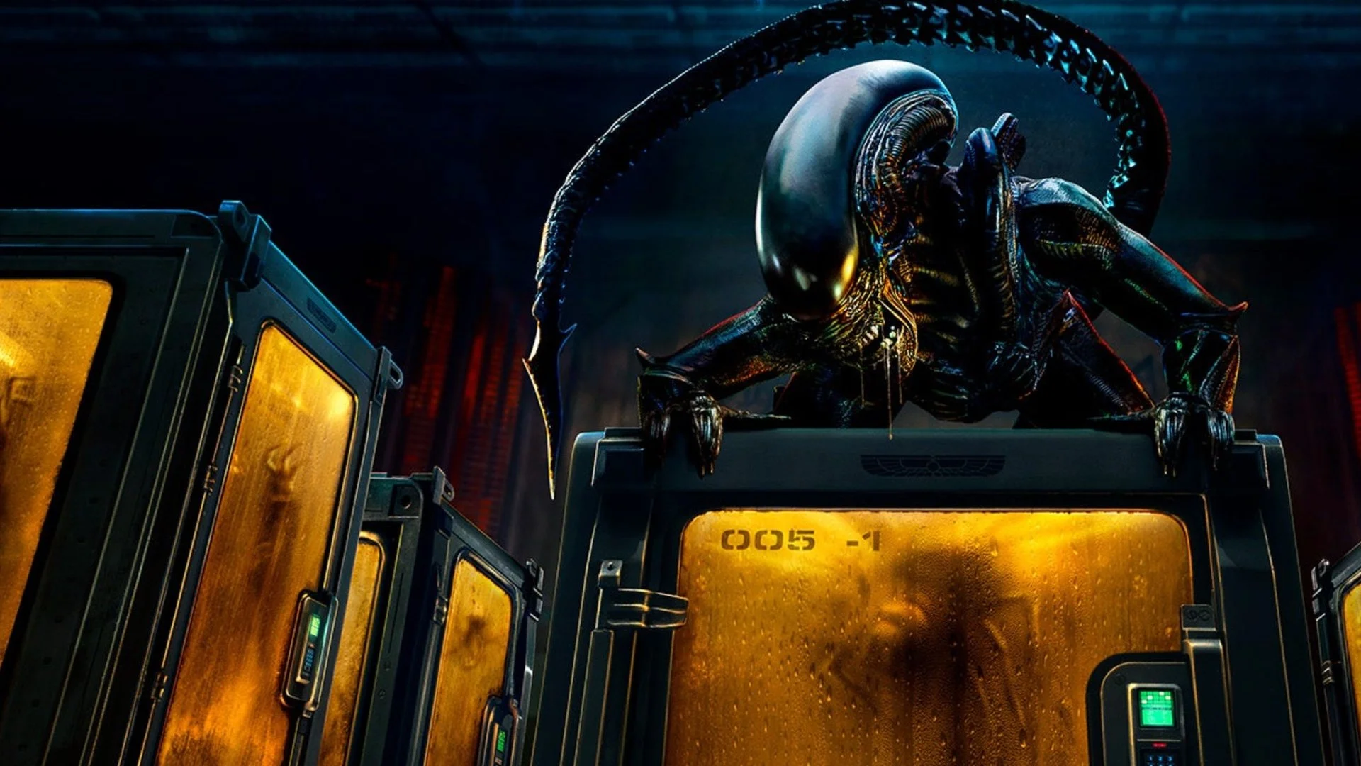 Alien: Earth is not just another characteristic of creature: the creator Noah Hawley is asking bigger and more frightening questions