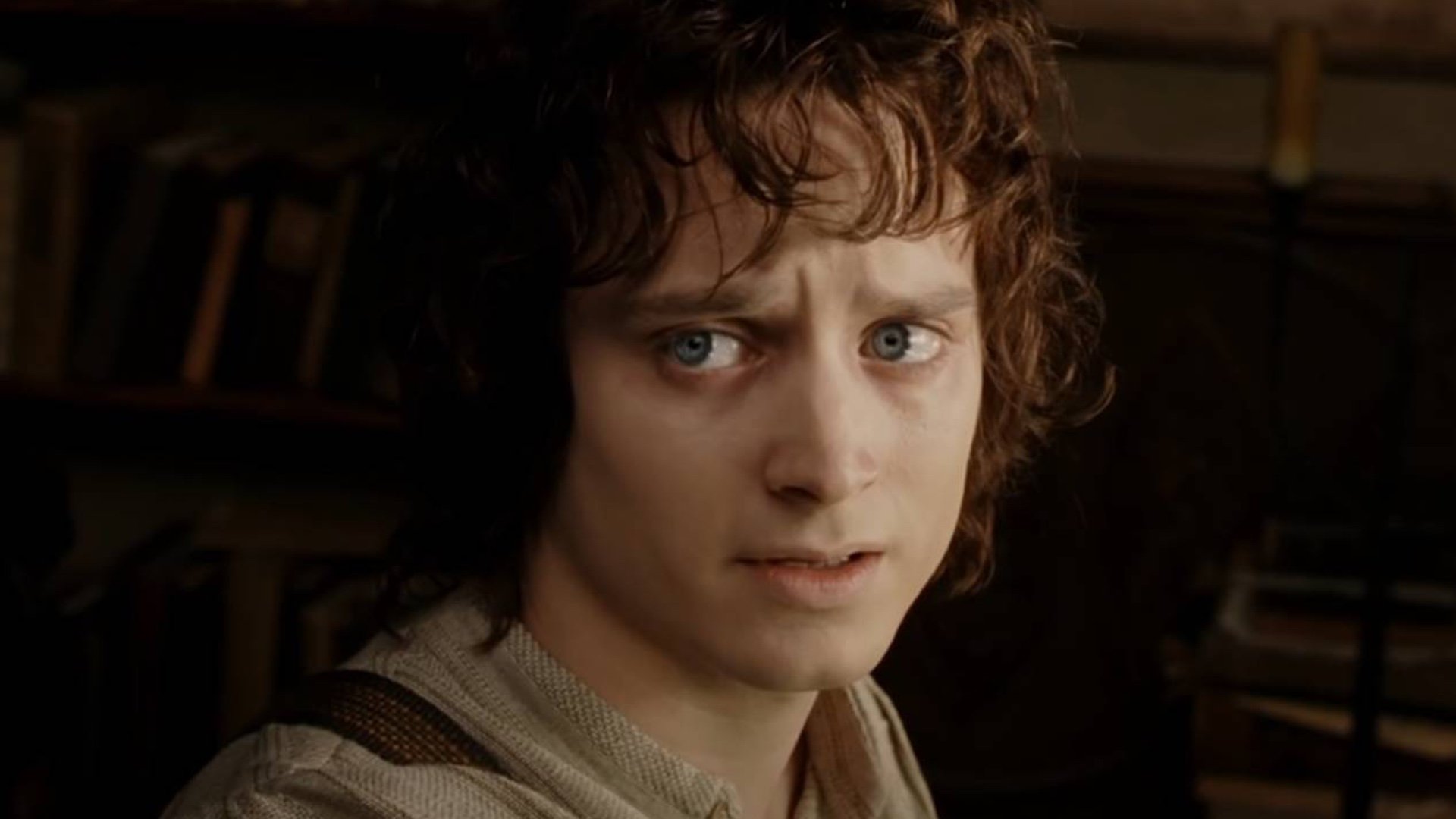 Elijah Wood on New Lord of the Rings Movies: I'm Surprised, Fascinated