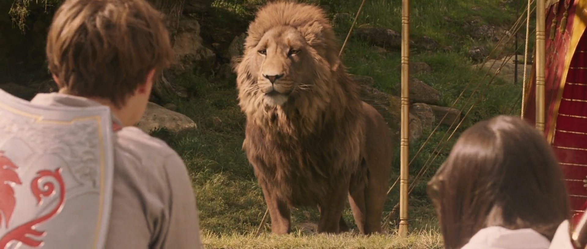 Aslan.. One of the best moments in that movie.