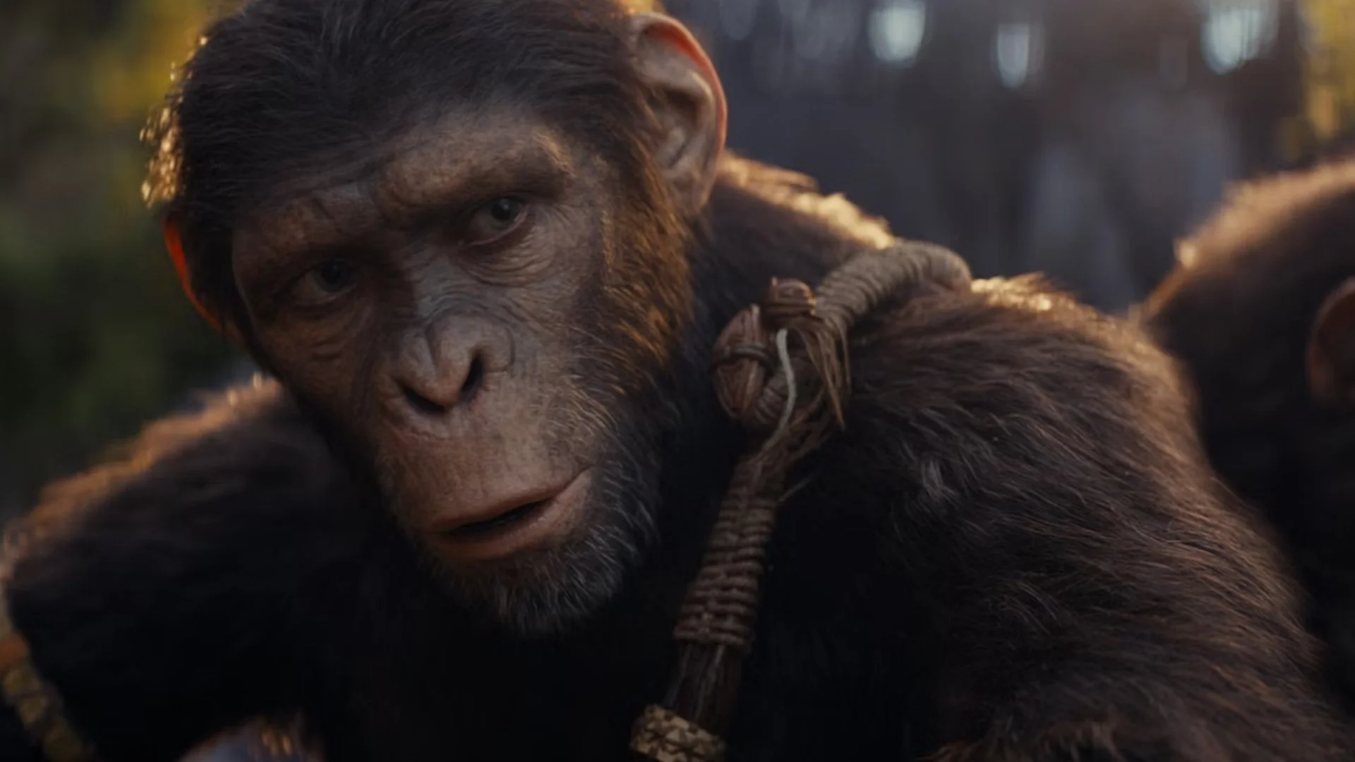 KINGDOM OF THE PLANET OF THE APES Release date moved forward