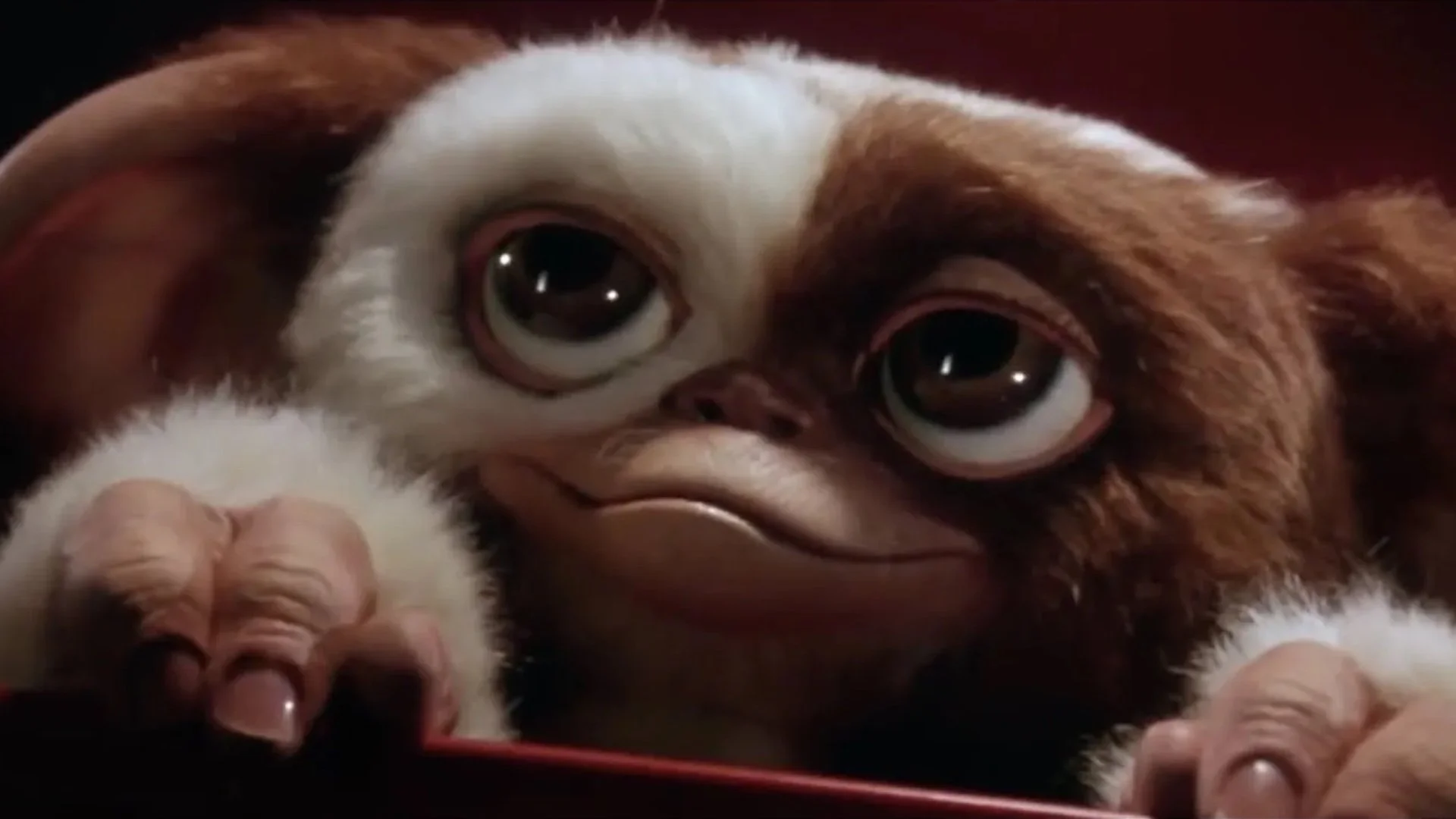 Gremlins 3 is still in Limbo according to Chris Columbus: “We haven’t broken it yet”