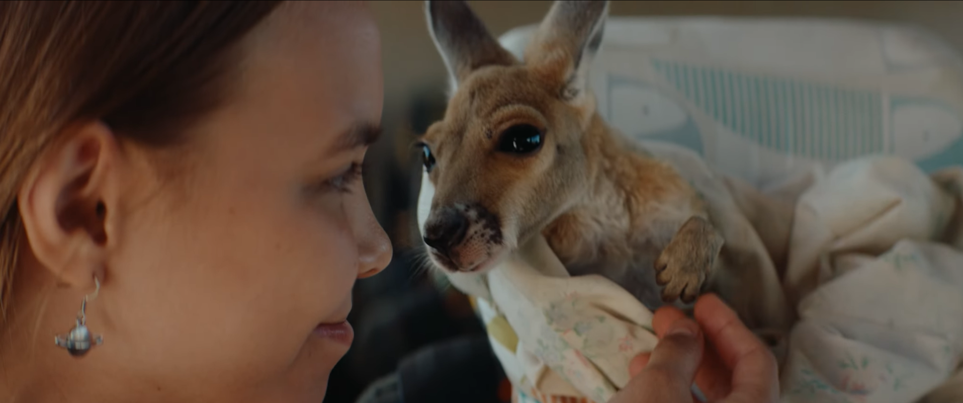 Sweet Trailer for Australian cinema for the animal rescue family