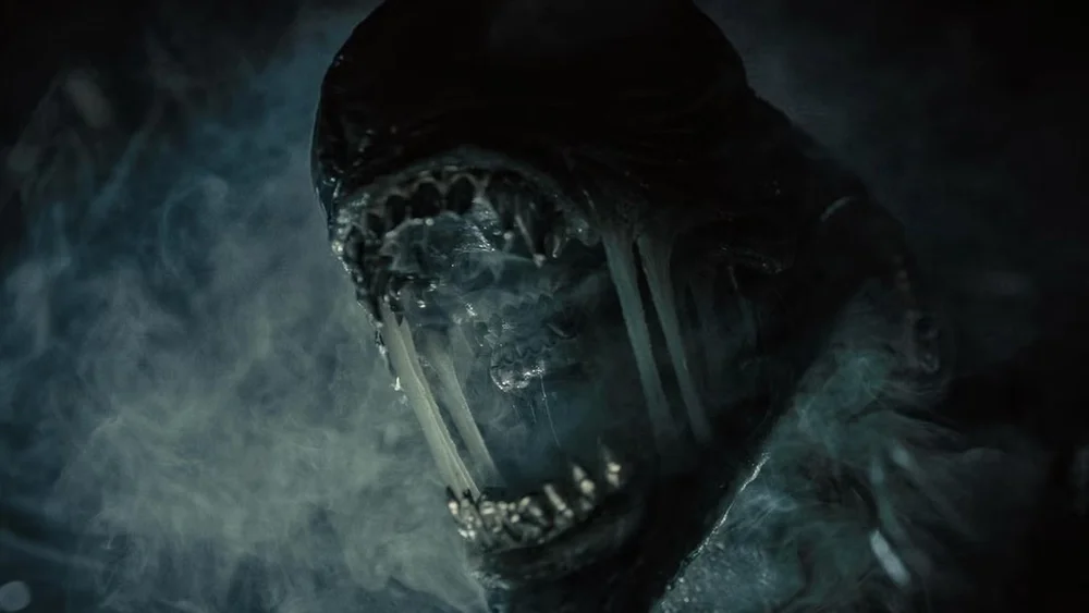 My Top 10 Favorite Films of 2024 — GeekTyrant