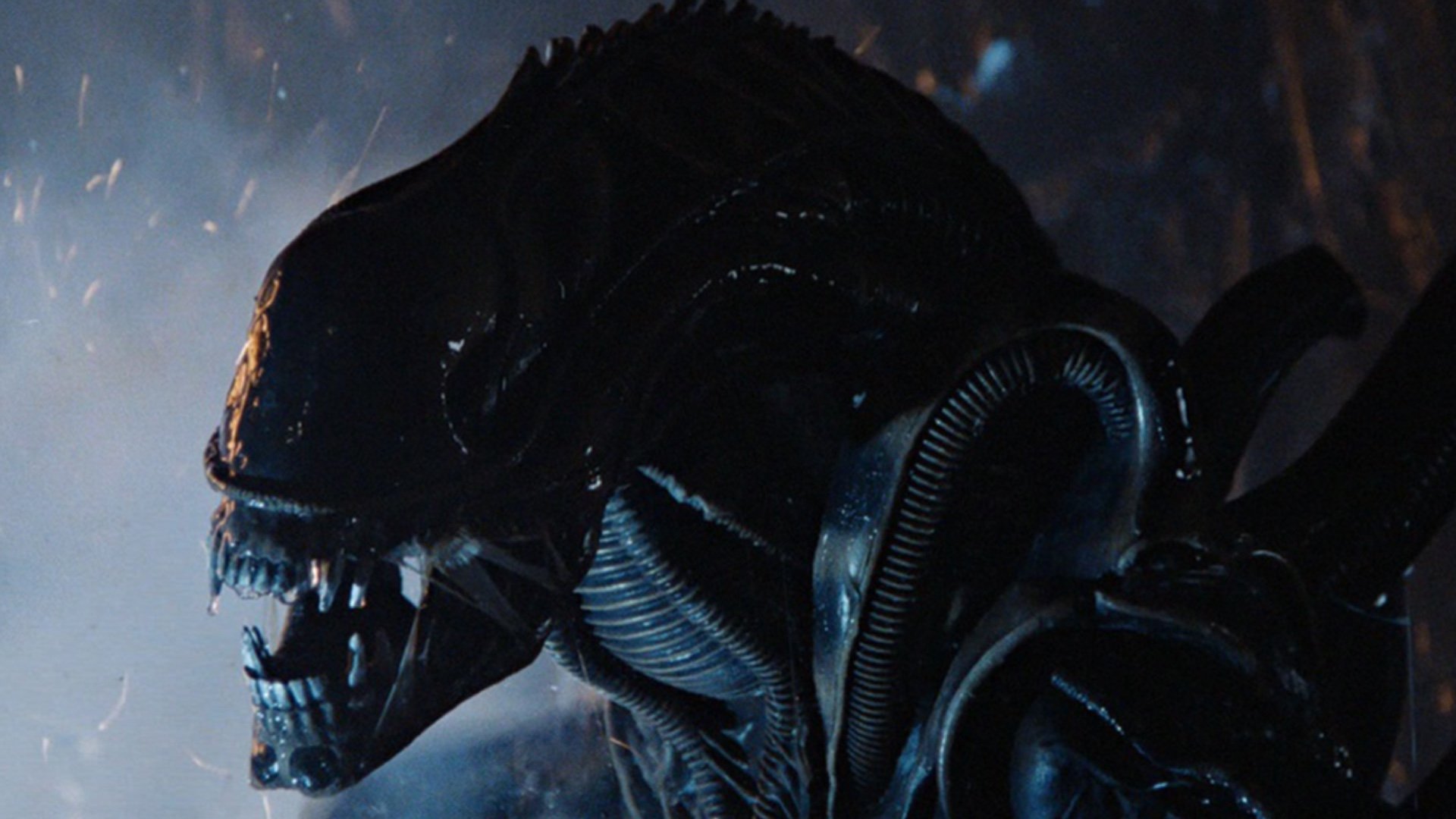 Aliens vs Predator 3: The Sequel to Requiem You Never Saw 