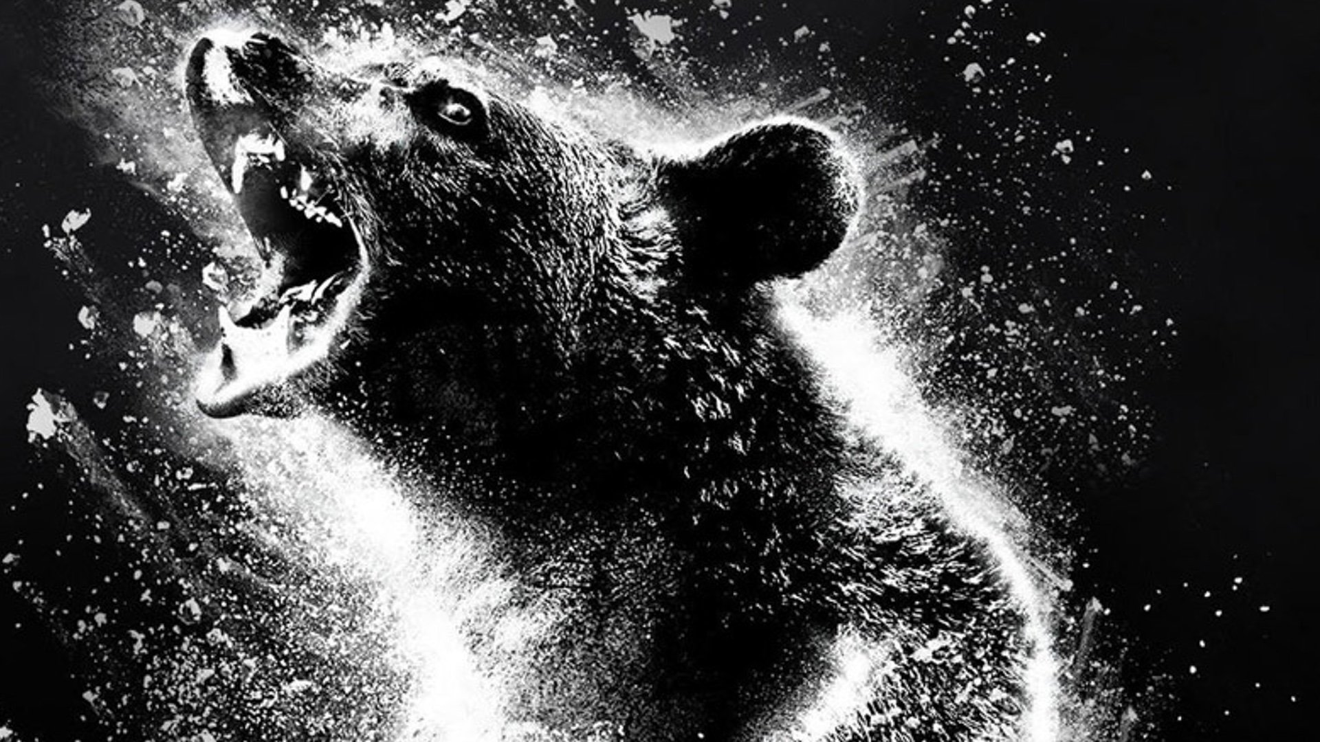 A Cocaine-Addicted Bear Goes On A Murderous Rampage In COCAINE BEAR Red Band Trailer; Based on a true story! A Cocaine-Addicted Bear Goes On A Murderous Rampage In COCAINE BEAR Red Band Trailer; Based on a true story!