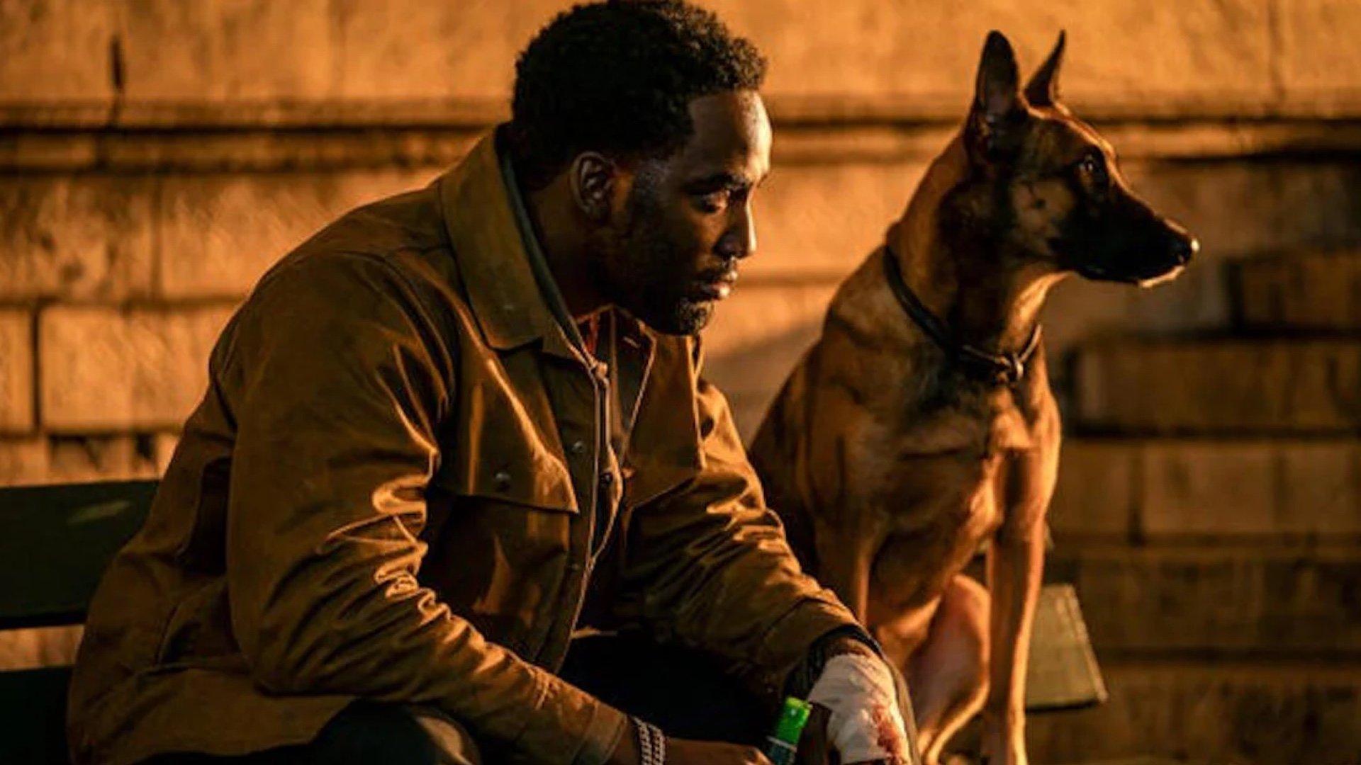 The New 'John Wick: Chapter 4' Trailer Has a Great Nas Flip, Insane Action  and an Adorable Sidekick Dog