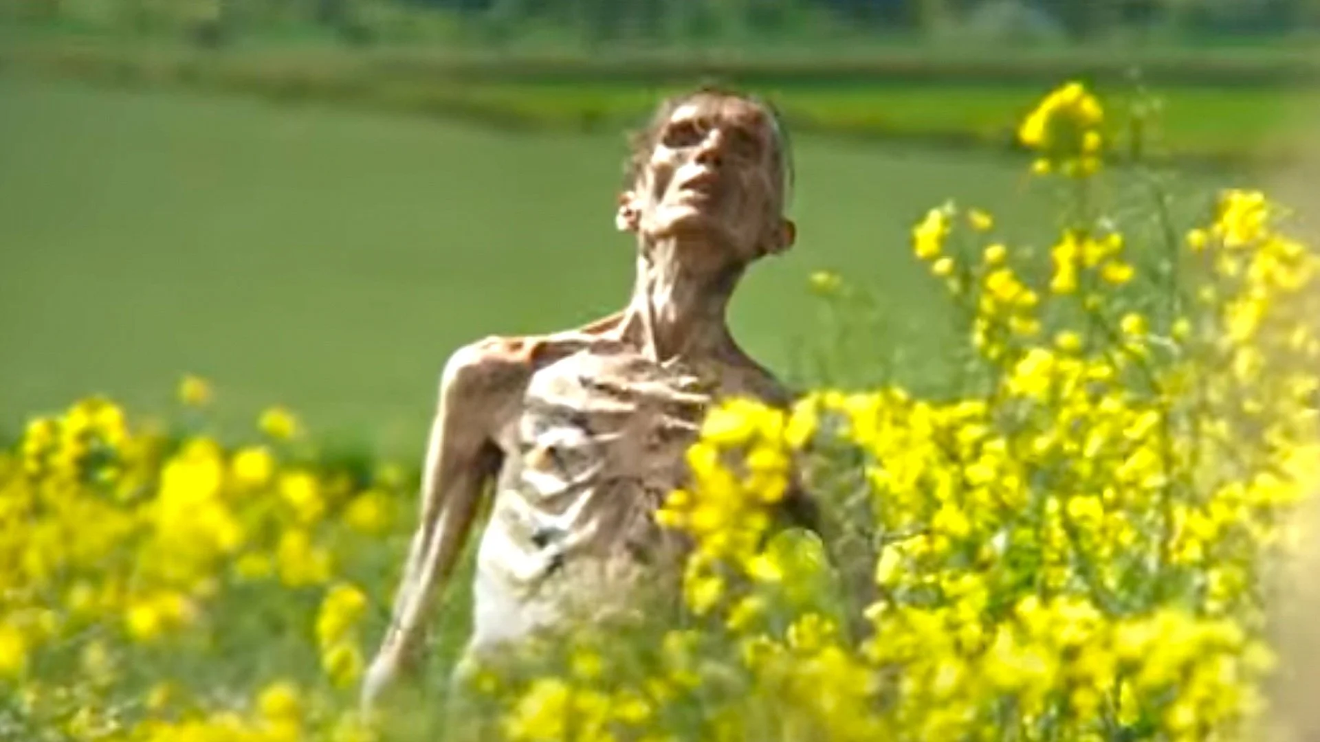 Cillian Murphy reacts in a fun way to people who think they are zombies in 28 years later
