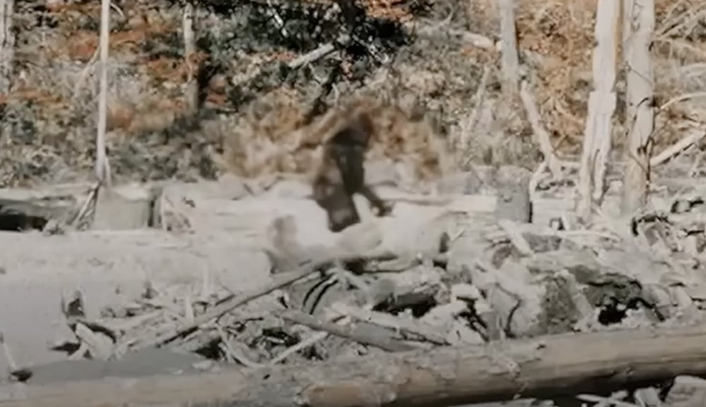 Les artistes VFX de Corridor Crew démystifient les images de Bigfoot