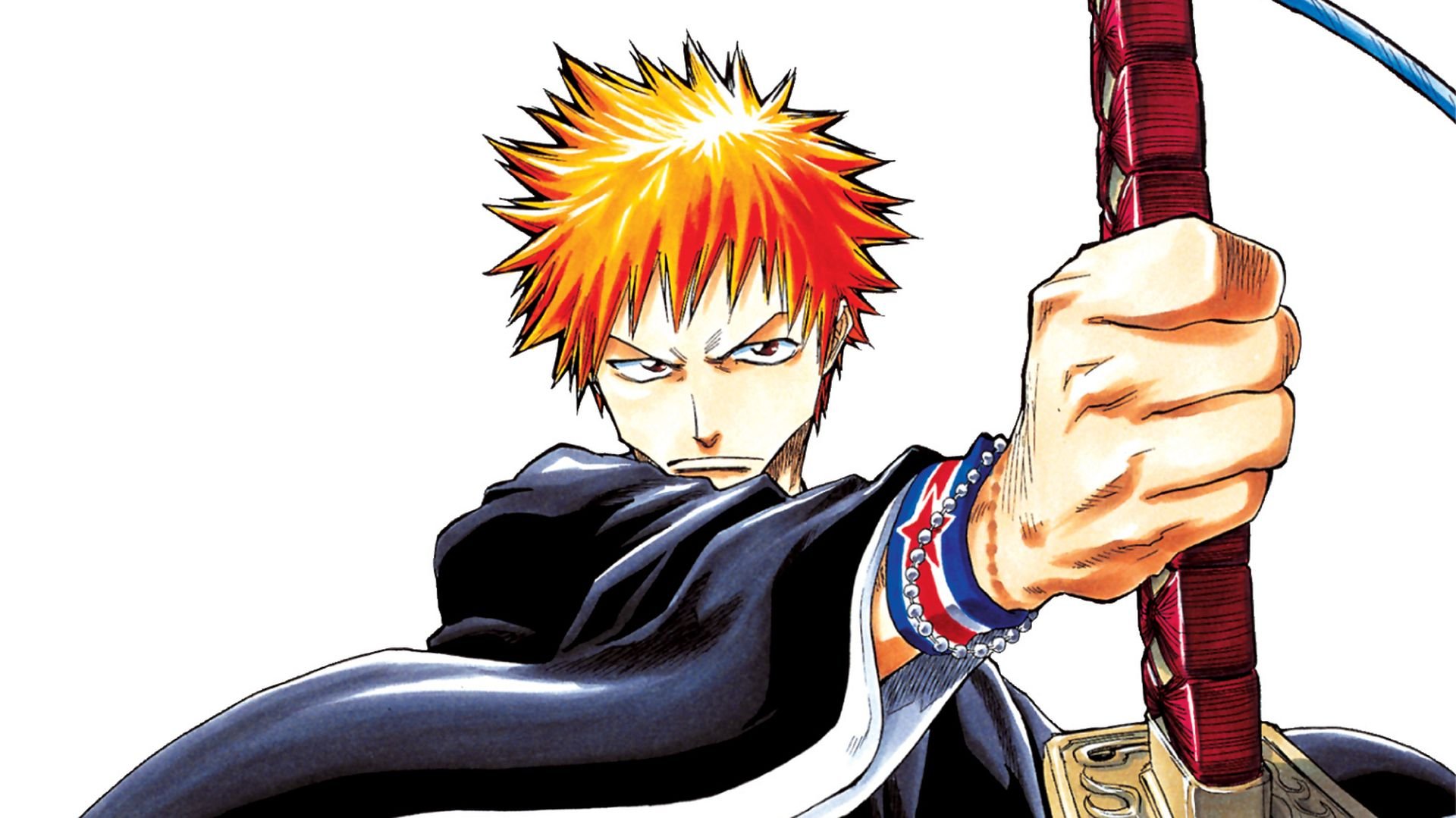 VIZ  See BLEACH: The Official Anime Coloring Book