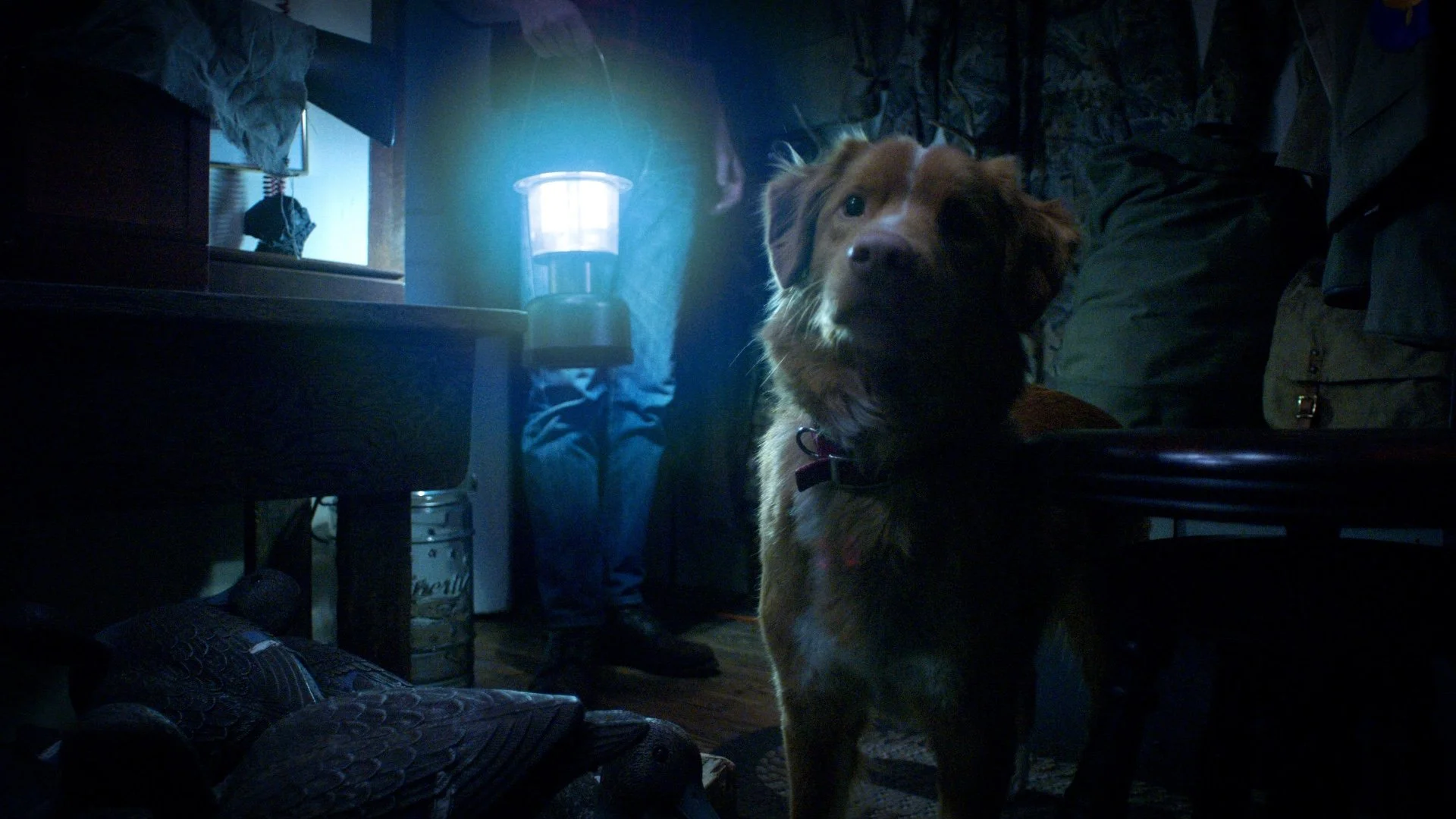 Review: Good Boy is a really interesting concept for a horror movie that does not land