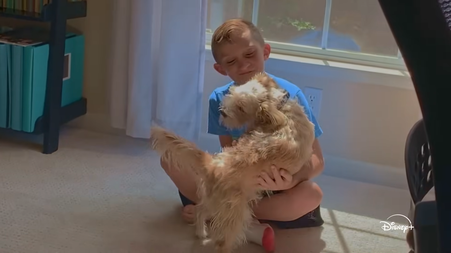 Sweet Trailer for the moving Disney+ Bryce Dallas Howard documentary Sweet Trailer for the moving Disney+ Bryce Dallas Howard documentary