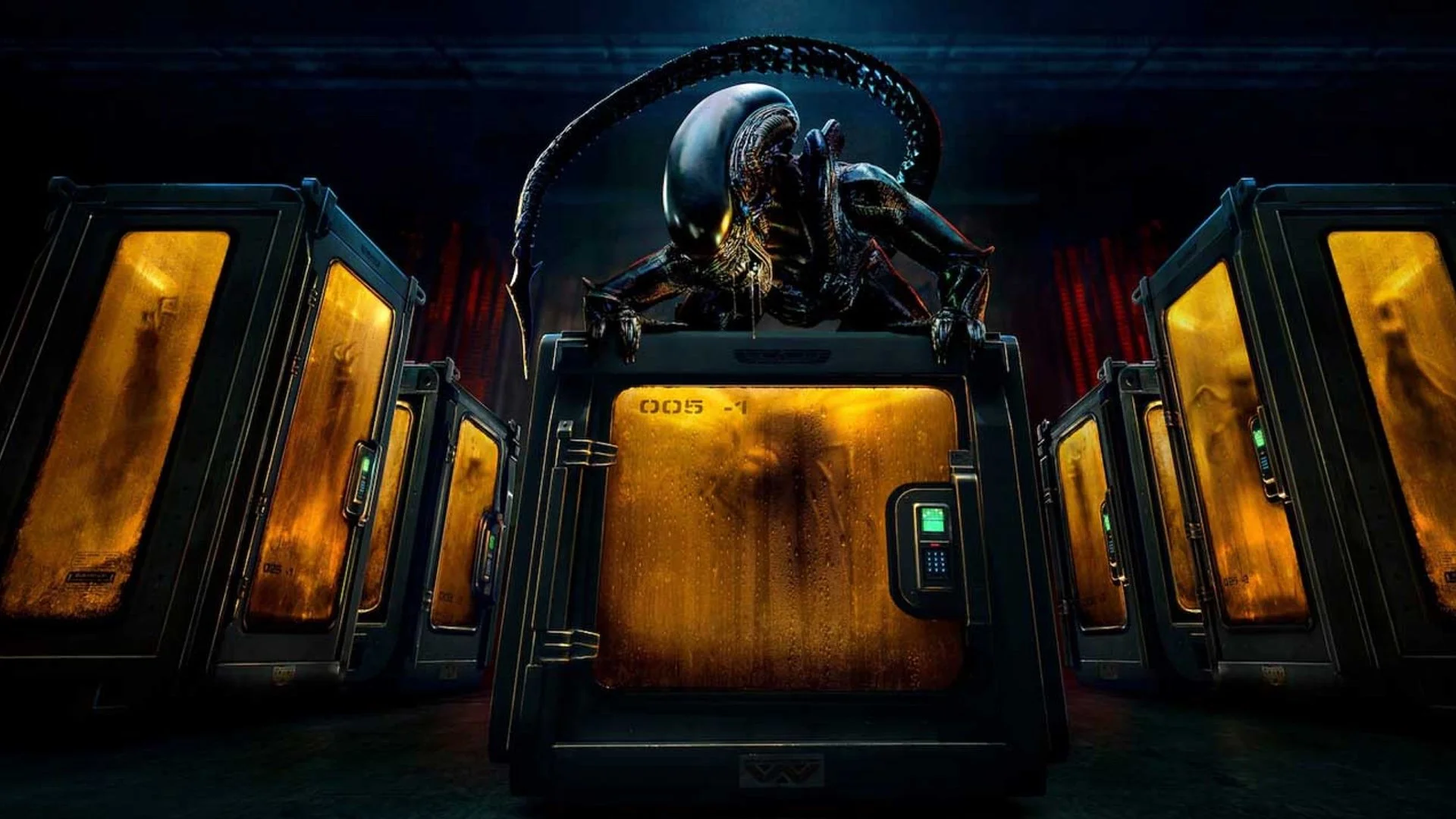 Alien: the creator of the earth makes fun of the even more terrifying monsters of the Xenomorphs