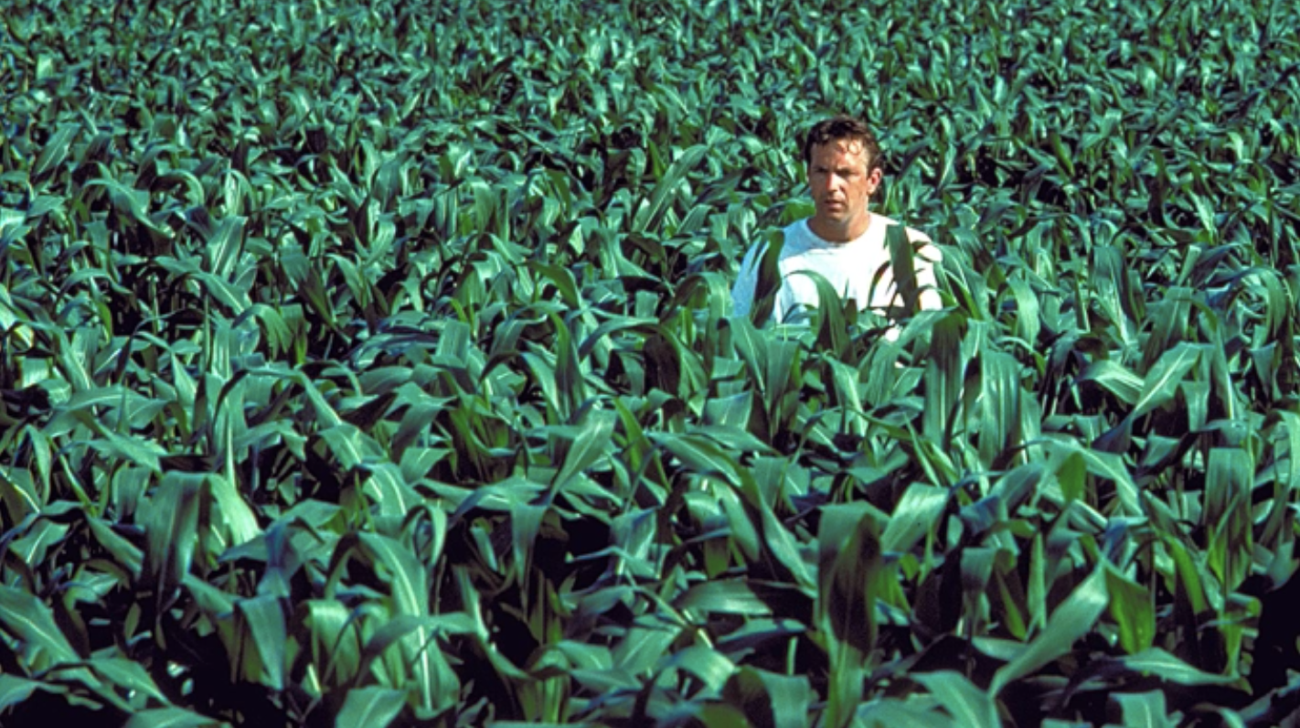 The adaptation of the FIELD OF DREAMS series is no longer moving forward in Peacock The adaptation of the FIELD OF DREAMS series is no longer moving forward in Peacock