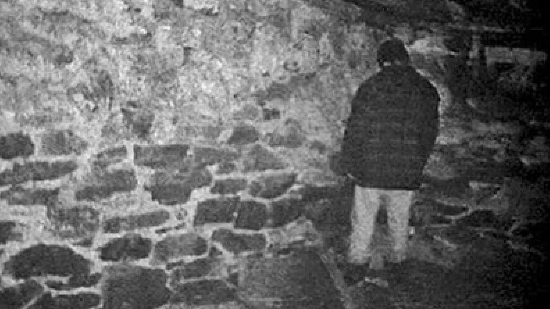 Another BLAIR WITCH PROJECT film is in the works with director Oliver Park