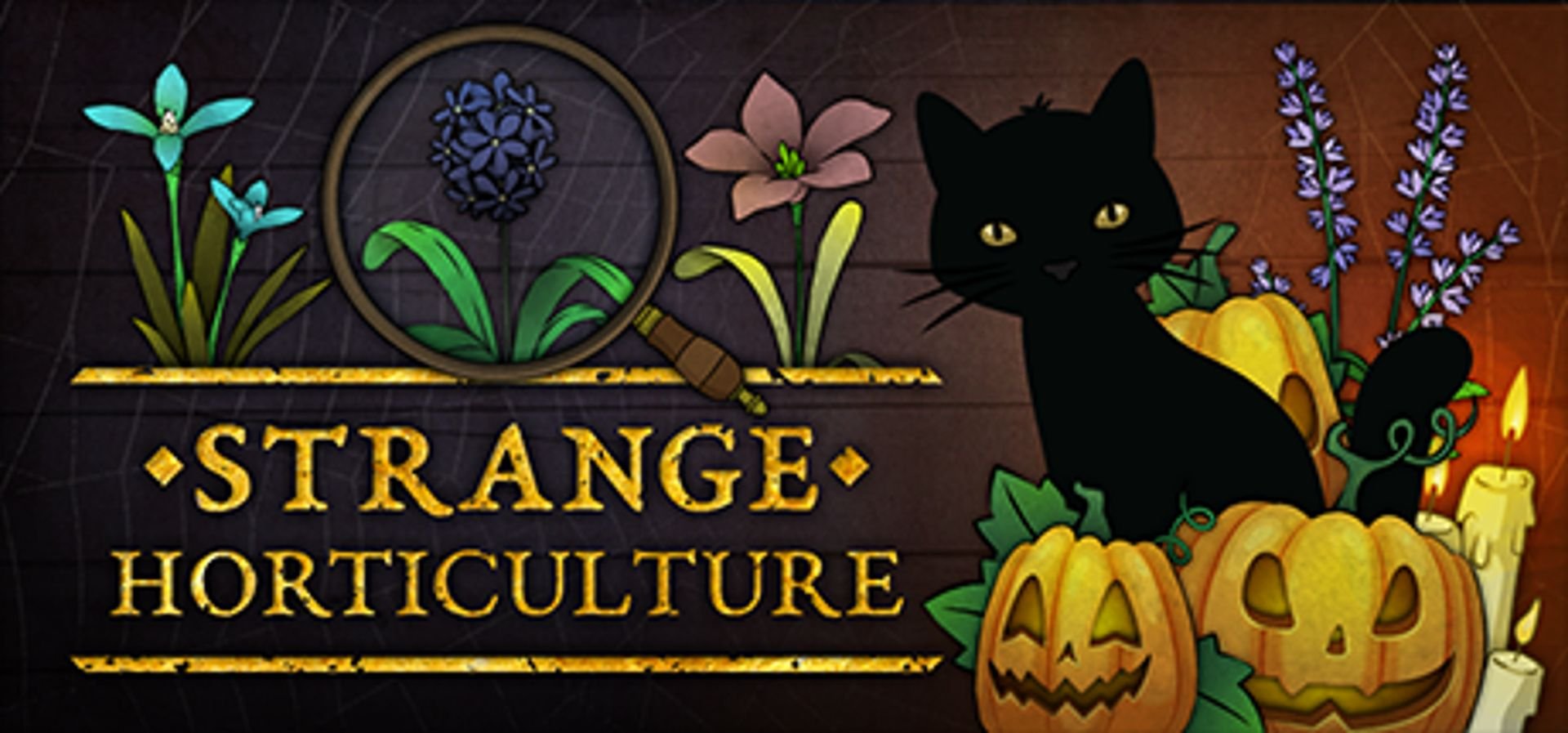 Царица лета strange horticulture. Розовый кот Хэллоуин игра. Strange Horticulture. Элдерфиниум Strange Horticulture.