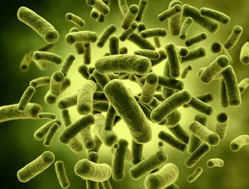 Probiotics.jpg